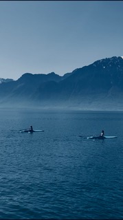 Portes ouvertes du Club d’Aviron